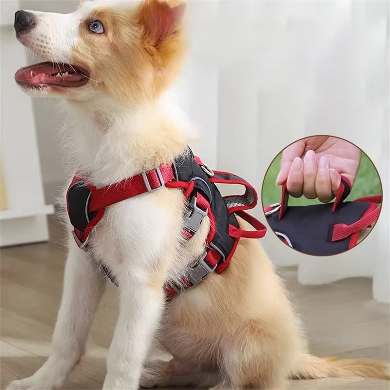 HarnessSafe™ UltraGrip Support Dog Harness